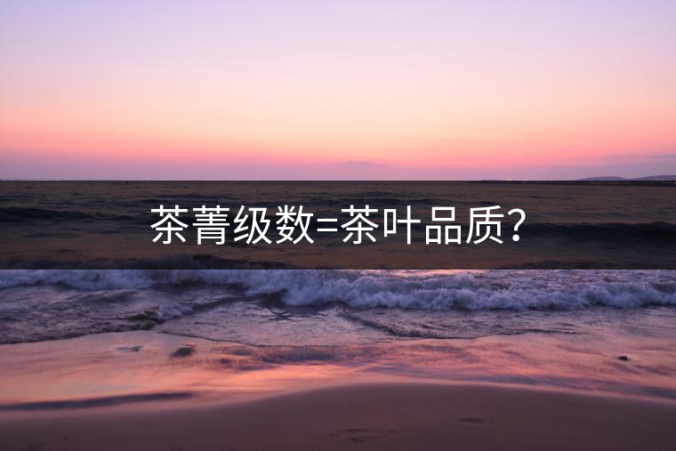 茶菁級(jí)數(shù)=茶葉品質(zhì)？