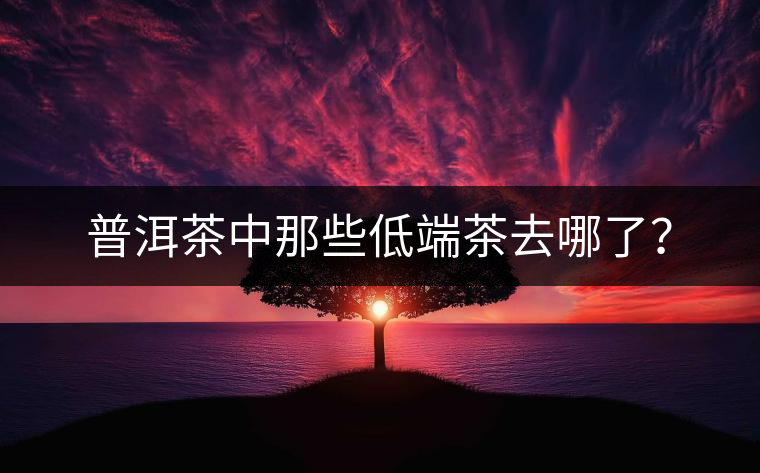 普洱茶中那些低端茶去哪了？