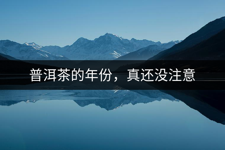 普洱茶的年份，真還沒(méi)注意