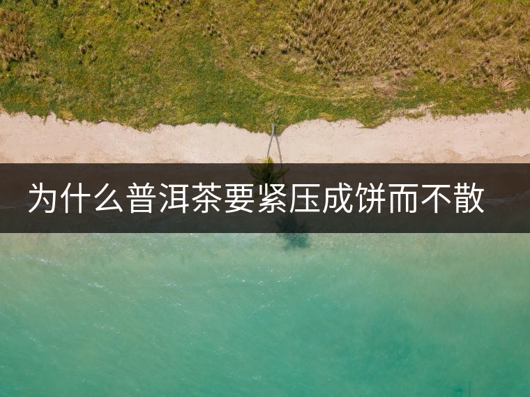 為什么普洱茶要緊壓成餅而不散存呢？