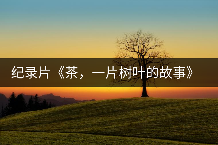 紀(jì)錄片《茶，一片樹葉的故事》 茶文化的詩意追尋