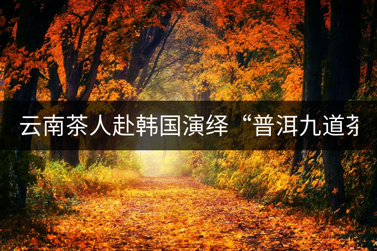 云南茶人赴韓國演繹“普洱九道茶”