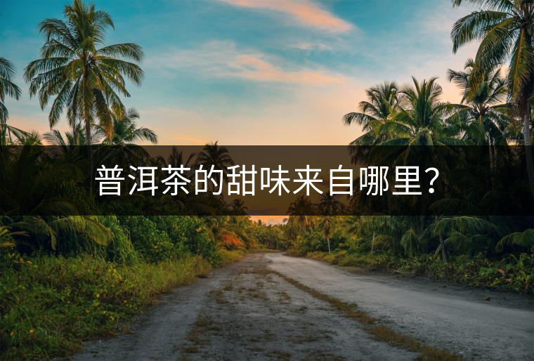 普洱茶的甜味來自哪里？