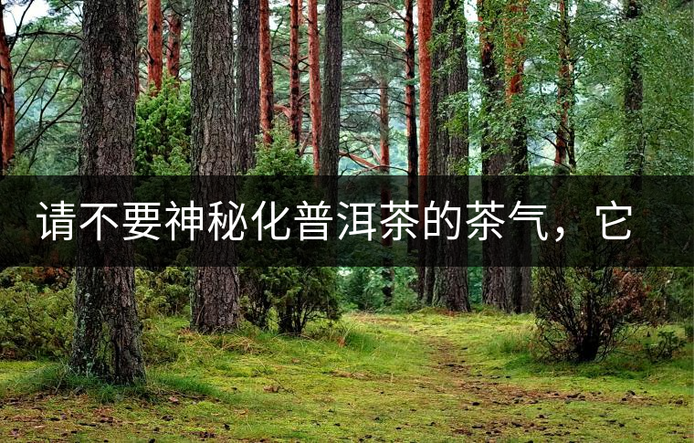 請不要神秘化普洱茶的茶氣，它是科學的存在