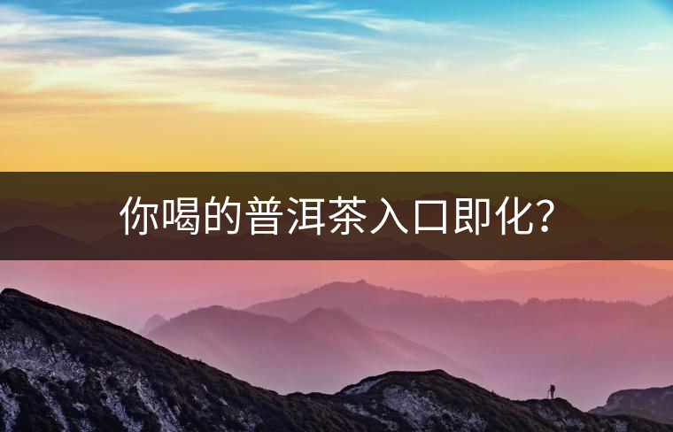 你喝的普洱茶入口即化？
