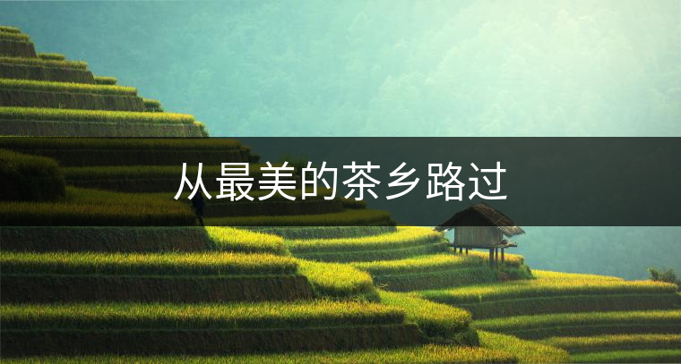 從最美的茶鄉(xiāng)路過
