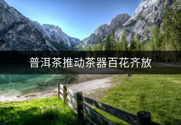 普洱茶推動(dòng)茶器百花齊放