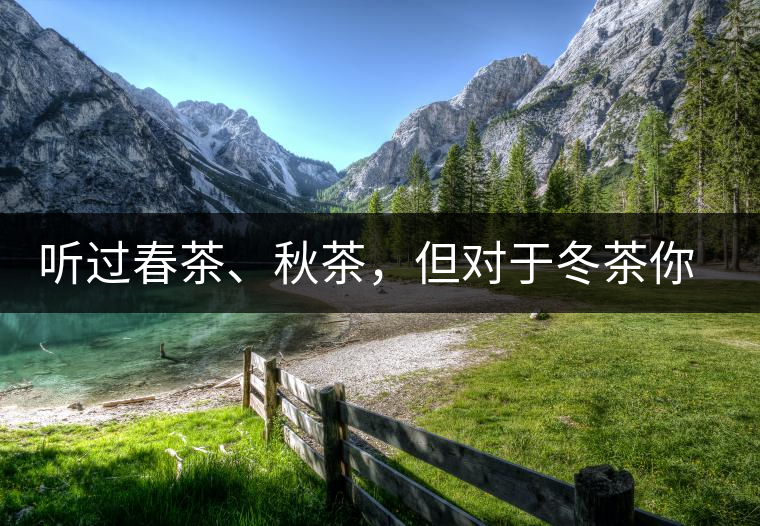 聽(tīng)過(guò)春茶、秋茶，但對(duì)于冬茶你又知道多少？