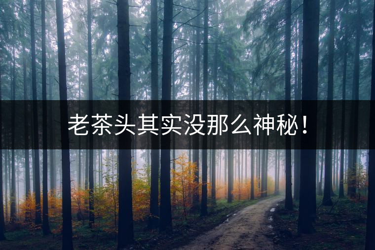 老茶頭其實沒那么神秘！
