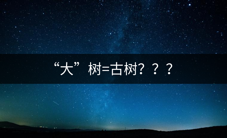 “大”樹=古樹？？？