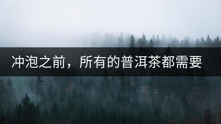 沖泡之前，所有的普洱茶都需要醒茶嗎？