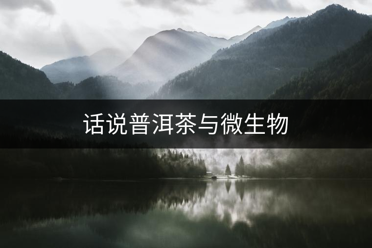 話說普洱茶與微生物