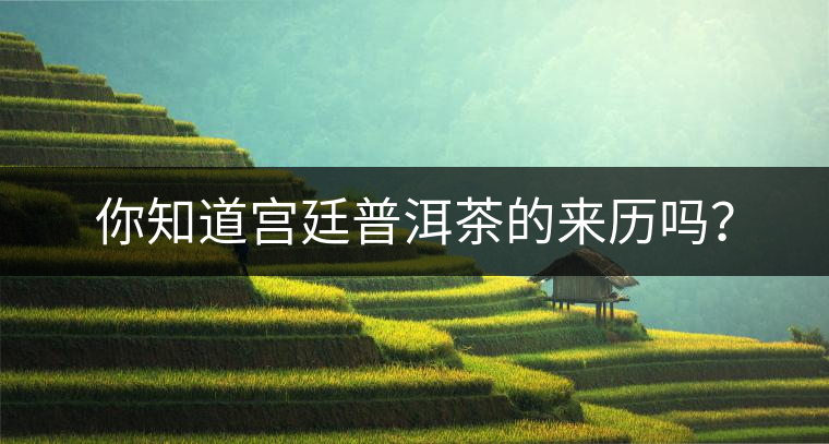 你知道宮廷普洱茶的來歷嗎？