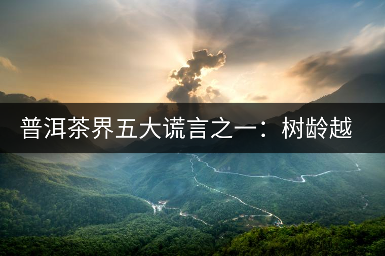 普洱茶界五大謊言之一：樹齡越高，品質(zhì)越好