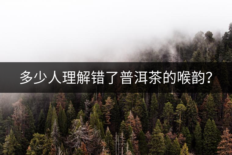 多少人理解錯了普洱茶的喉韻？
