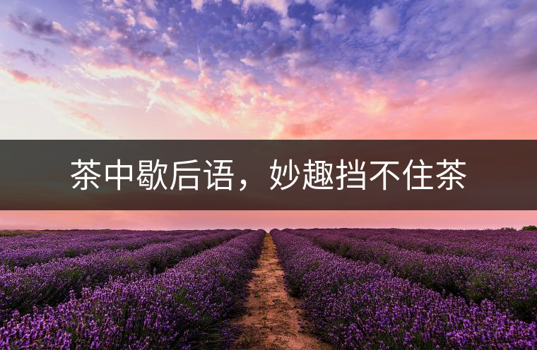 茶中歇后語,妙趣擋不住茶 茶中歇后語,妙趣擋不住茶