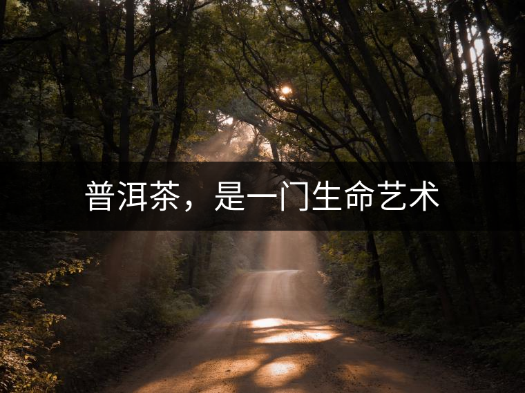 普洱茶，是一門生命藝術