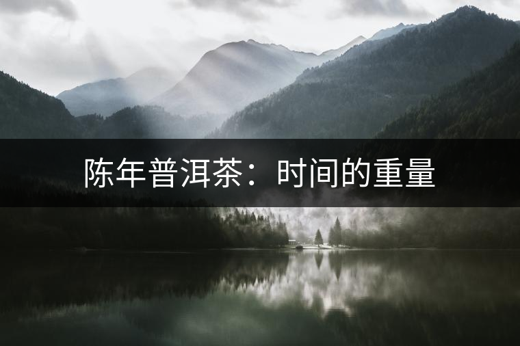 陳年普洱茶:時間的重量 陳年普洱茶:時間的重量