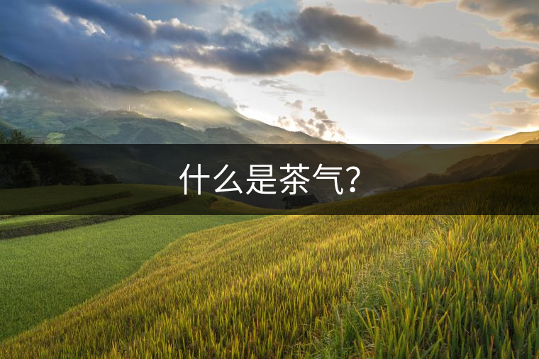 什么是茶氣？