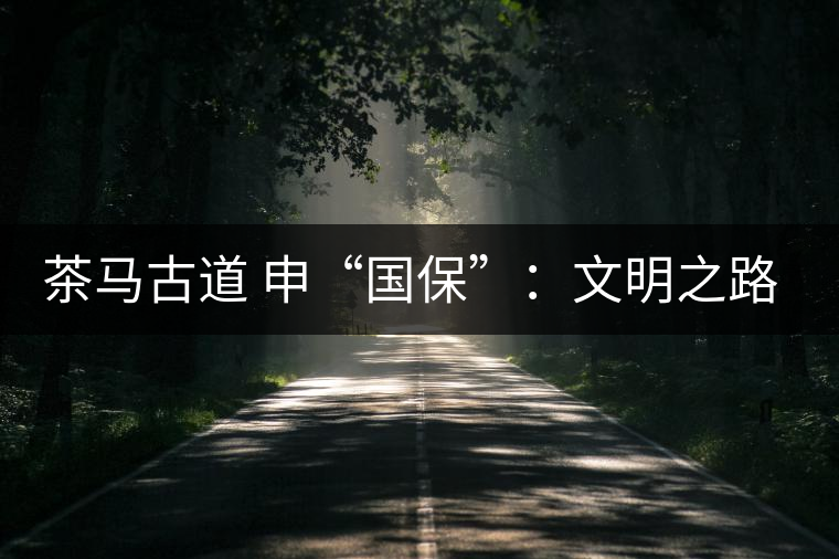 茶馬古道 申“國?！保何拿髦返脑侔l(fā)現(xiàn)