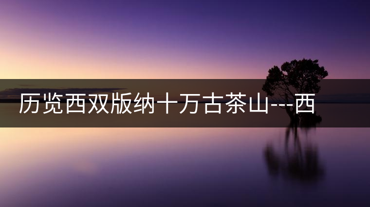 歷覽西雙版納十萬古茶山---西雙版納州古茶樹古茶園資源普查報(bào)告 歷覽西雙版納十萬古茶山---西雙版納州古茶樹古茶園資源普查報(bào)告