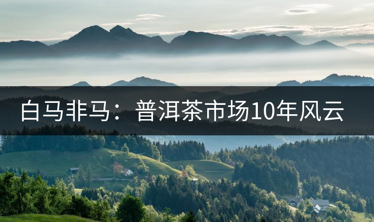白馬非馬：普洱茶市場10年風云錄