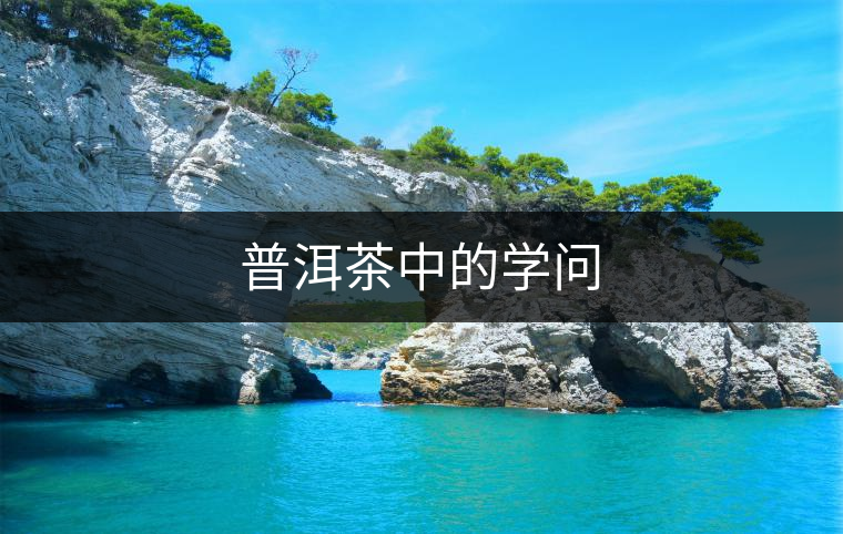 普洱茶中的學(xué)問