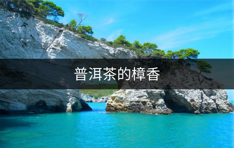 普洱茶的樟香