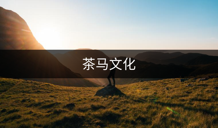 茶馬文化 茶馬文化