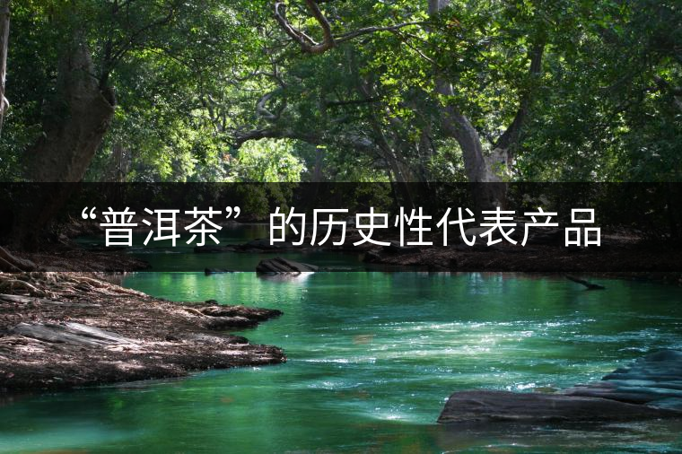 “普洱茶”的歷史性代表產(chǎn)品 “普洱茶”的歷史性代表產(chǎn)品
