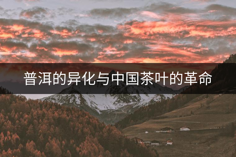 普洱的異化與中國茶葉的革命 普洱的異化與中國茶葉的革命