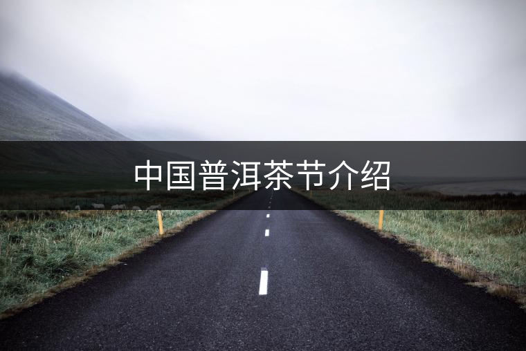 中國普洱茶節(jié)介紹