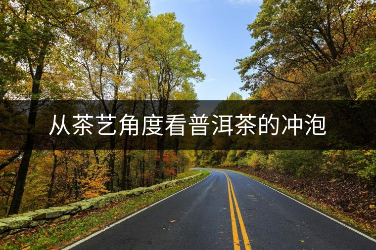 從茶藝角度看普洱茶的沖泡
