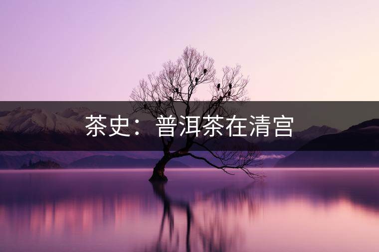 茶史：普洱茶在清宮