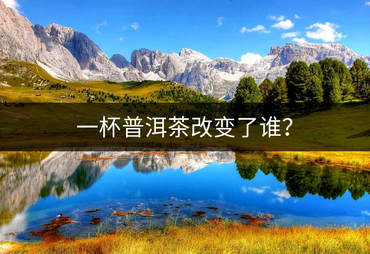 一杯普洱茶改變了誰？
