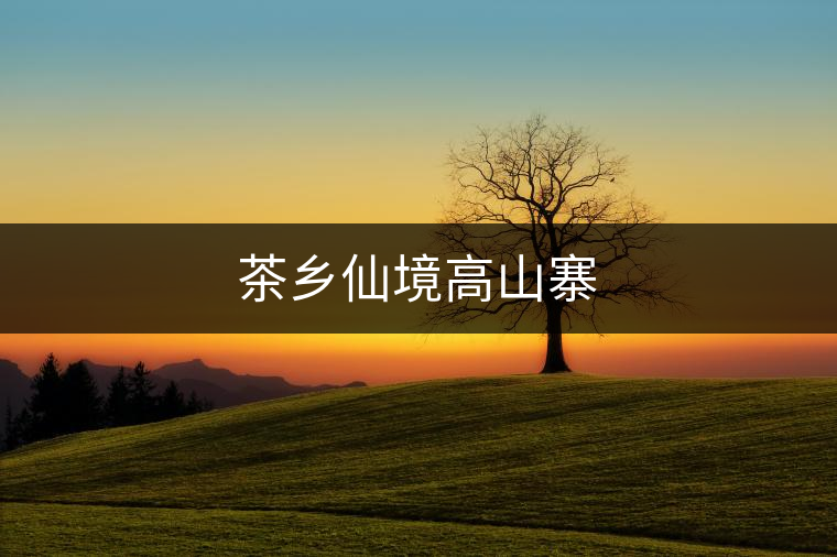 茶鄉(xiāng)仙境高山寨 茶鄉(xiāng)仙境高山寨