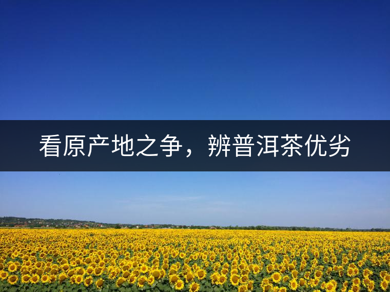 看原產(chǎn)地之爭，辨普洱茶優(yōu)劣