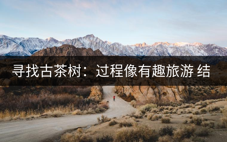 尋找古茶樹：過程像有趣旅游 結(jié)果是非凡的文化