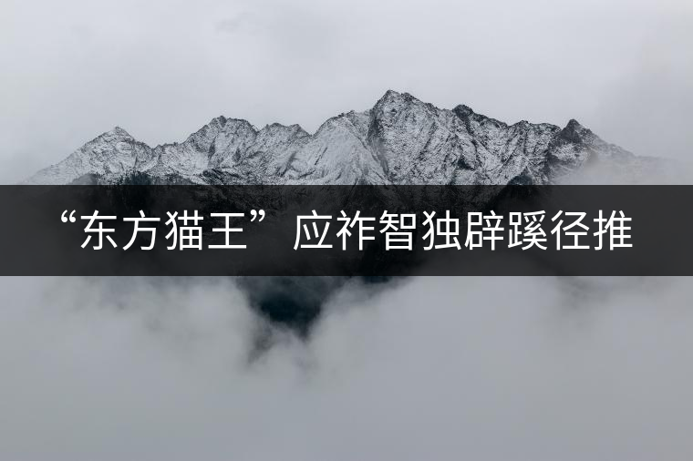 “東方貓王”應(yīng)祚智獨(dú)辟蹊徑推出普洱茶工藝對聯(lián)