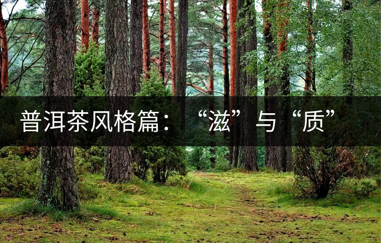 普洱茶風(fēng)格篇：“滋”與“質(zhì)”（談普洱茶數(shù)字化評價體系三）