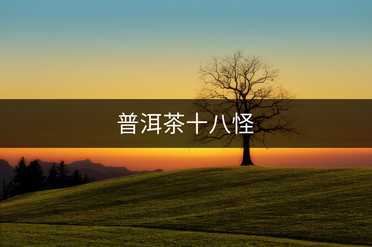 普洱茶十八怪