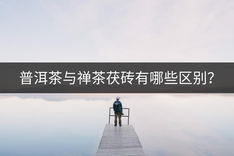 普洱茶與禪茶茯磚有哪些區(qū)別？