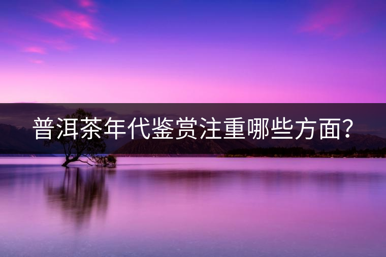 普洱茶年代鑒賞注重哪些方面？