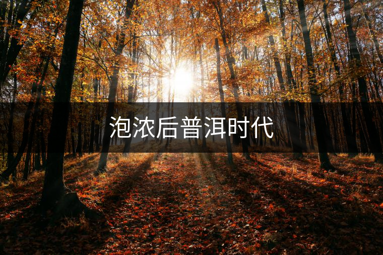 泡濃后普洱時代
