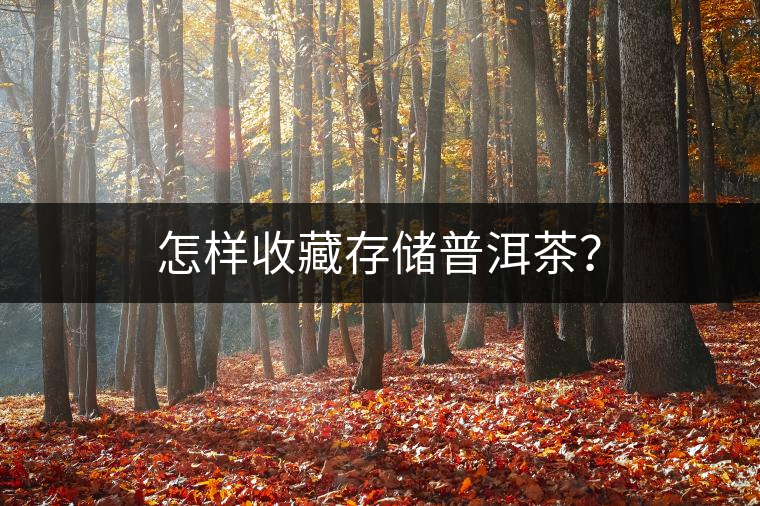 怎樣收藏存儲(chǔ)普洱茶？