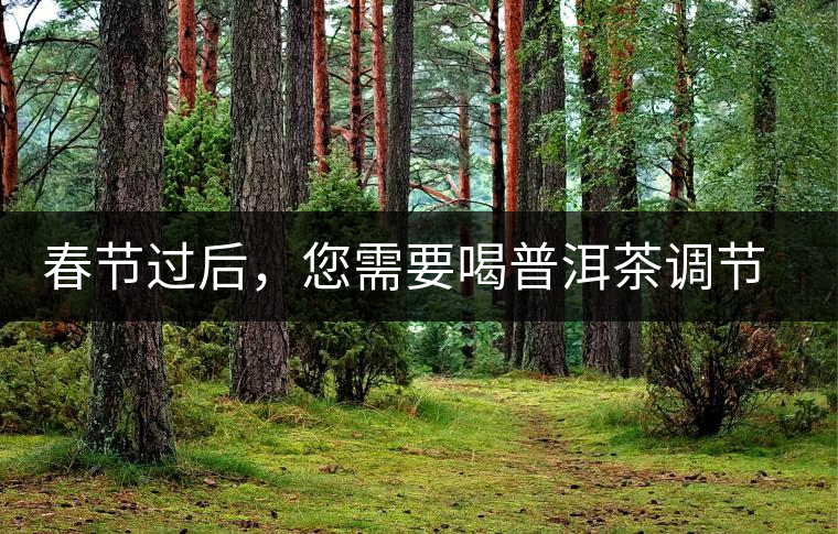春節(jié)過(guò)后，您需要喝普洱茶調(diào)節(jié)身體