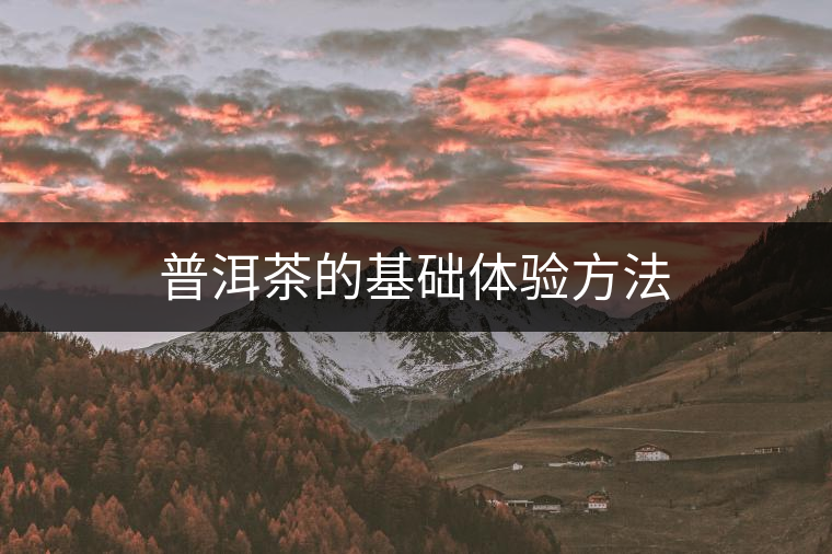 普洱茶的基礎(chǔ)體驗(yàn)方法