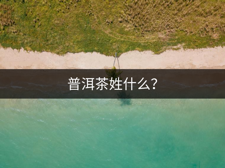 普洱茶姓什么？