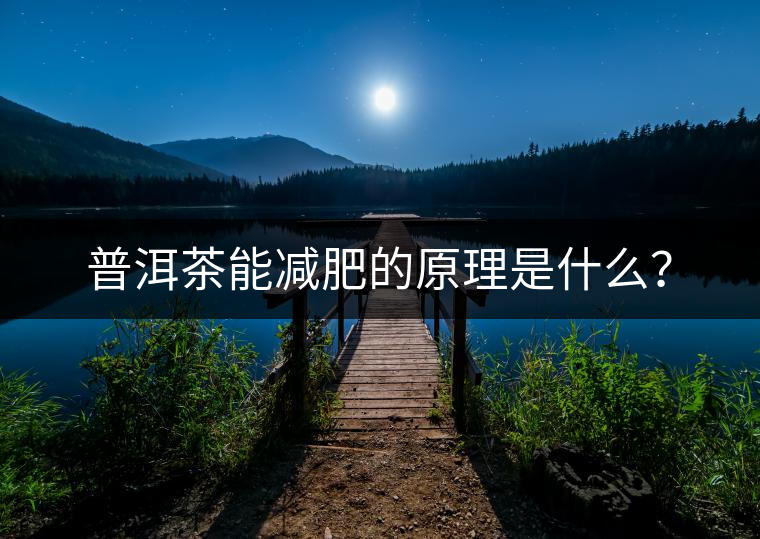 普洱茶能減肥的原理是什么？