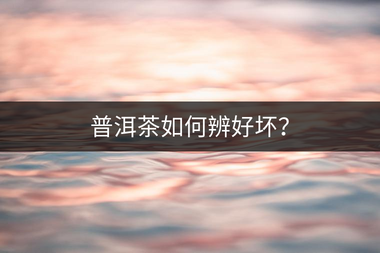 普洱茶如何辨好壞？